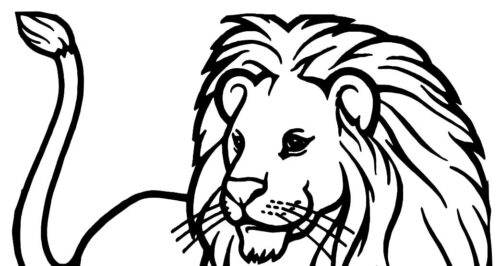 African Lion Tail Animal Coloring Page 1