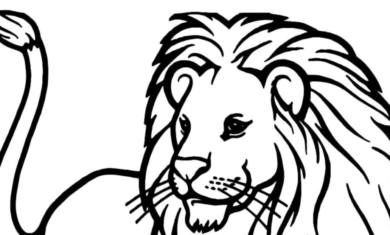 African Lion Tail Animal Coloring Page 1