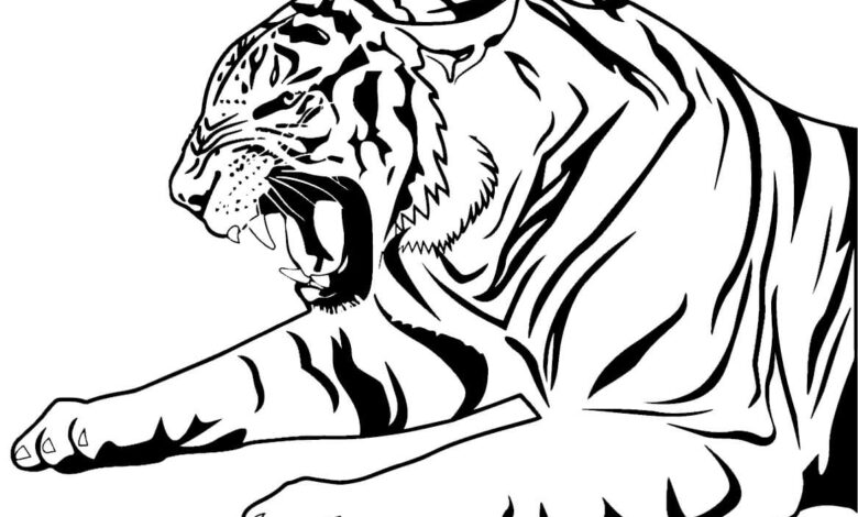 Angry Tiger Coloring Pages