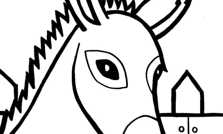 Animal Donkey Coloring Page