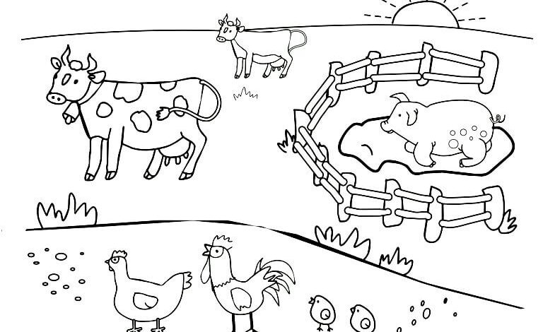 Cow, Chicken, Pig, Chick