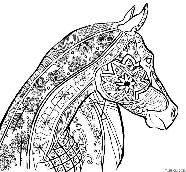 Animal Horse Coloring Page For Adults ?? Turkau