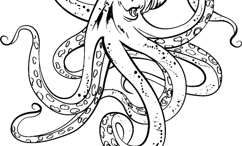 Animal Realistic Octopus Coloring Page