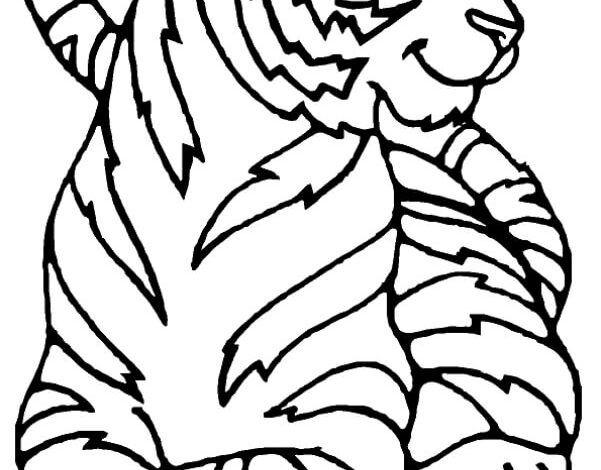 Animal Tiger Coloring Page For Girls