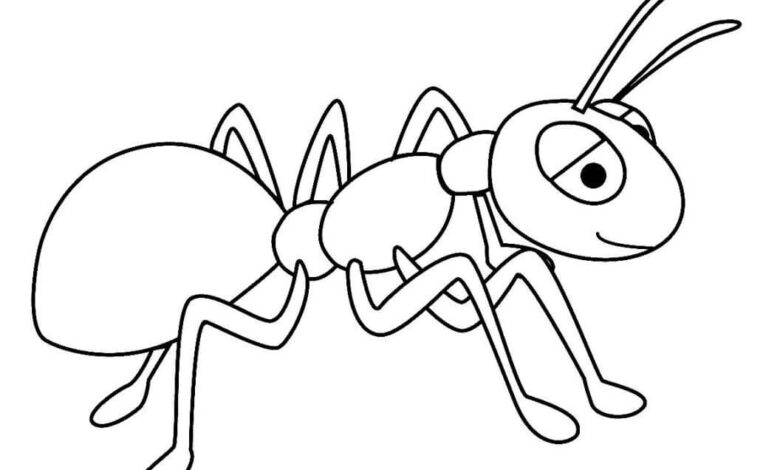 Ant Coloring Page