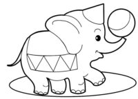 Baby Elephant Circus Ball Coloring Page