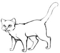 Beautiful Cat Coloring Page