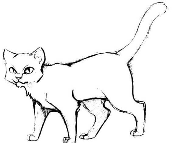 Beautiful Cat Coloring Page