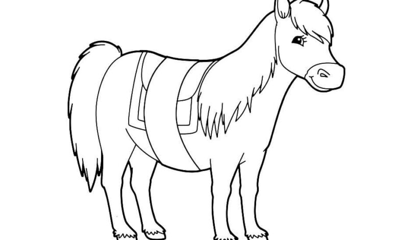 Beautiful Horse Coloring Page