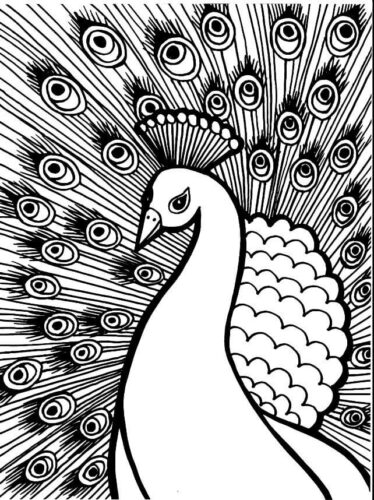 Best Peacock Coloring Page