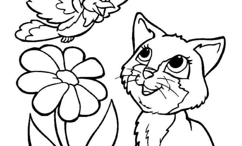 Bird Cat Flower Coloring Page