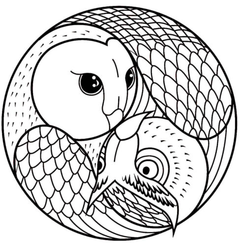 Birds Mandala Coloring Page 1 Birds Mandala Coloring Page