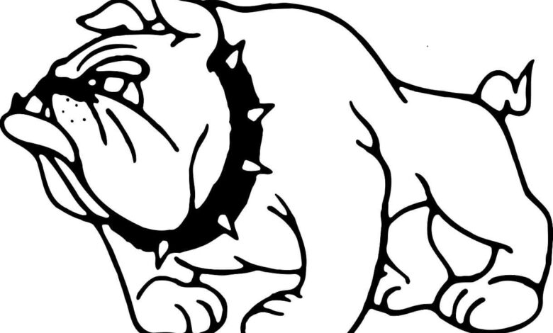 Bulldogs Drawing Coloring Page