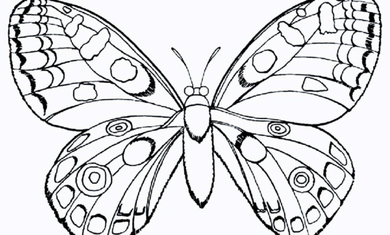 Butterfly Coloring Page