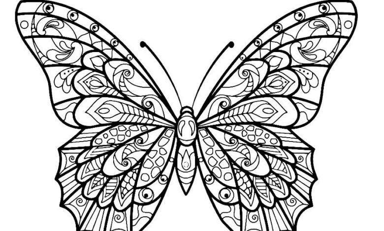 Butterfly Coloring Page for Girls 1