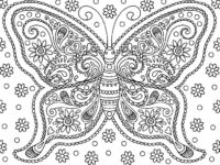Butteryfly Adult Coloring Sheets Coloring Page
