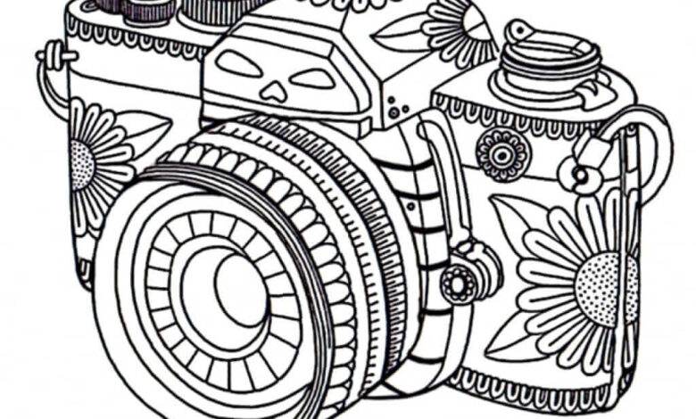 Kamera Boyama Sayfası