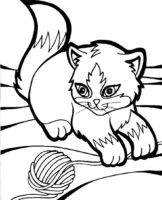 Cat Kitten Coloring Page