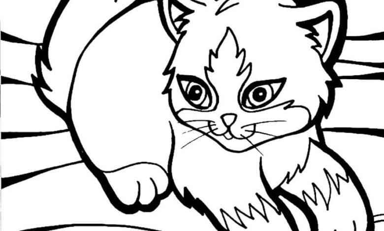 Cat Kitten Coloring Page