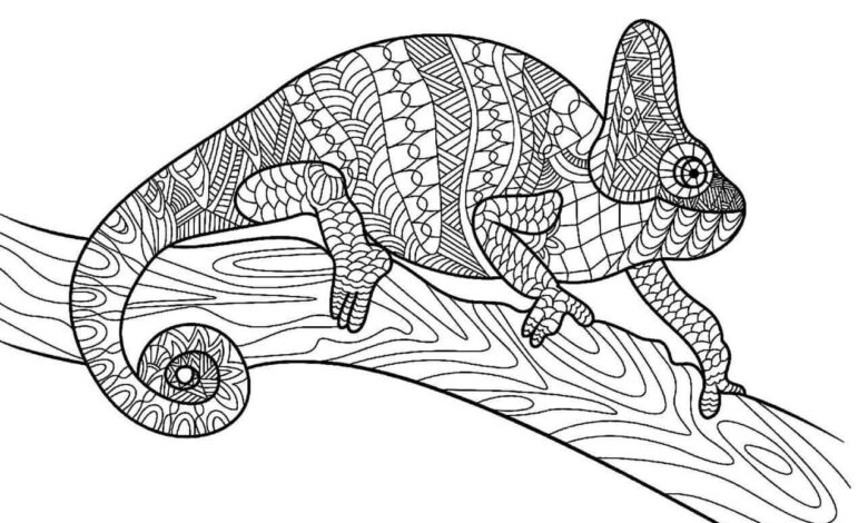 Chameleon Coloring Page
