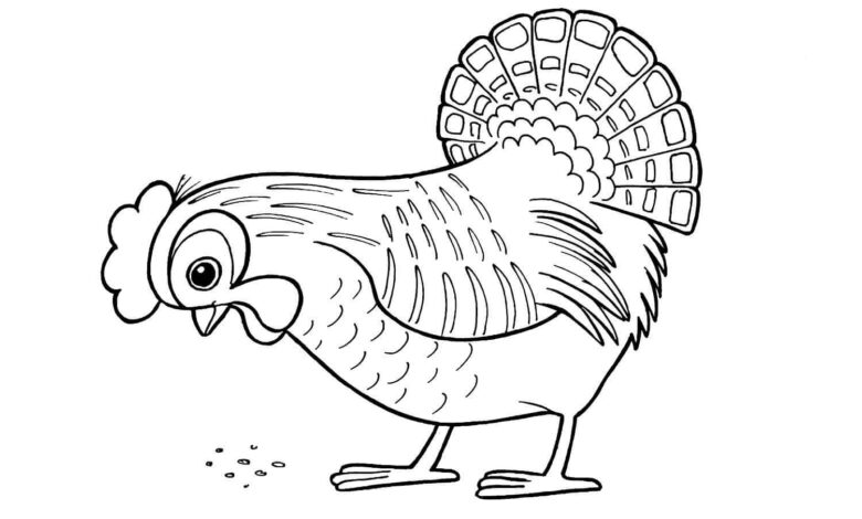 Chicken Coloring Pages