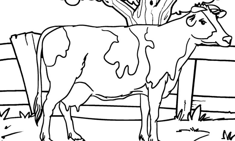 Cow Coloring Page