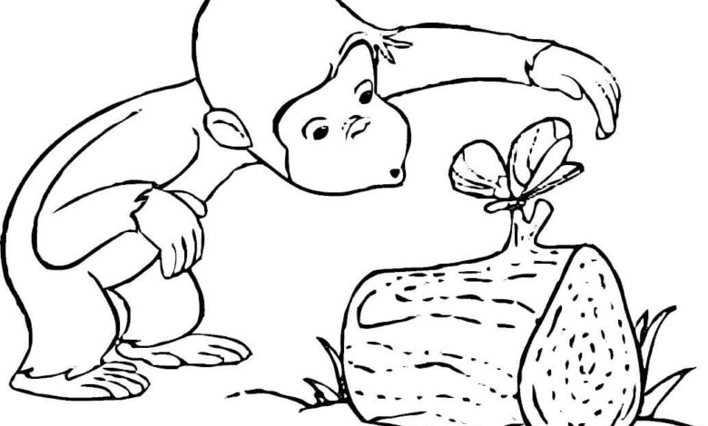 Curious Monkey Coloring Page
