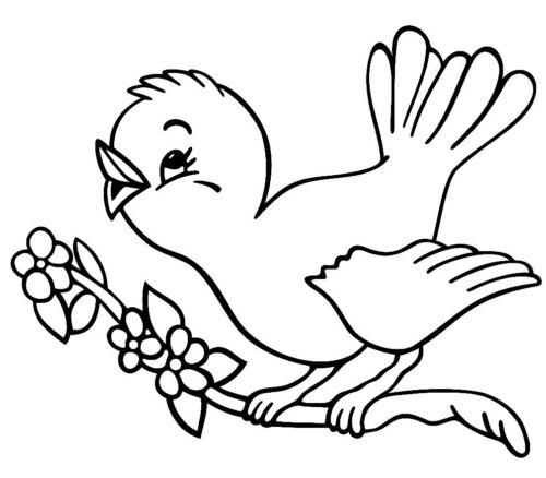 Cute Bird Coloring Page 1 Cute Bird Coloring Page