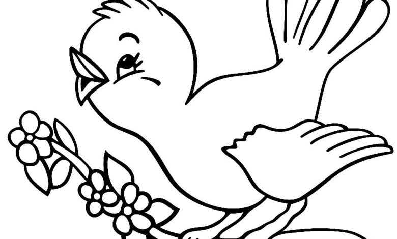 Cute Bird Coloring Page