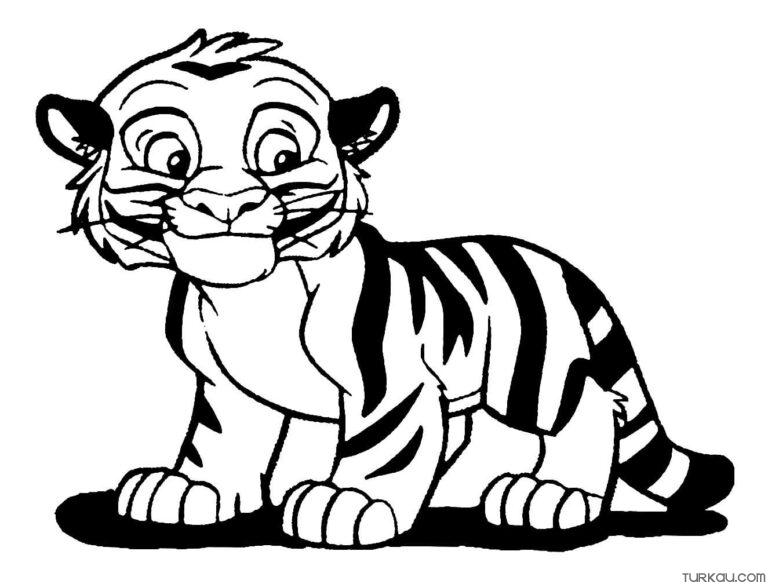 Cute Baby Tiger Coloring Page For Kids » Turkau
