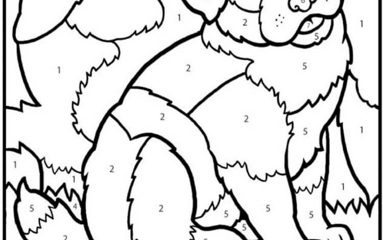 Dog Coloring By Number Coloring Pages