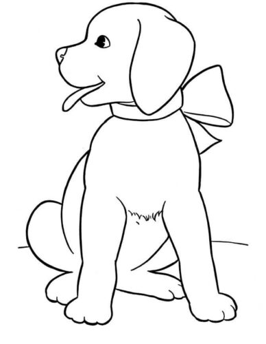Dog Coloring Page