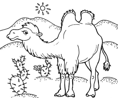 Double Horguc Central Asian Camel Coloring Page