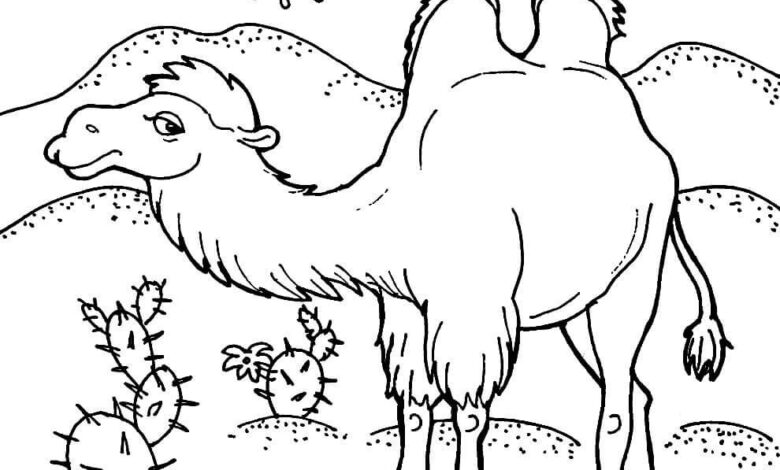 Double Horguc Central Asian Camel Coloring Page