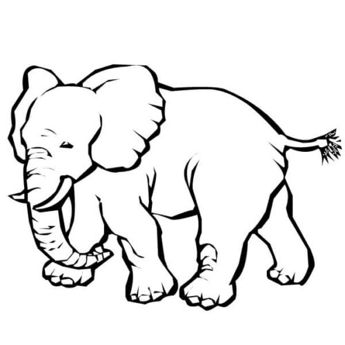 Elephant Coloring Page