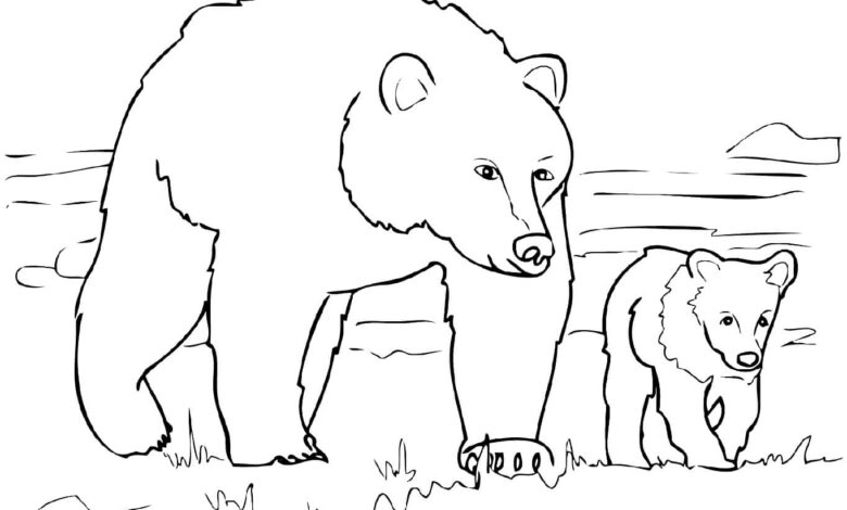 Family Bear Coloring Page