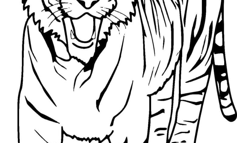 Fat Tiger Coloring Page
