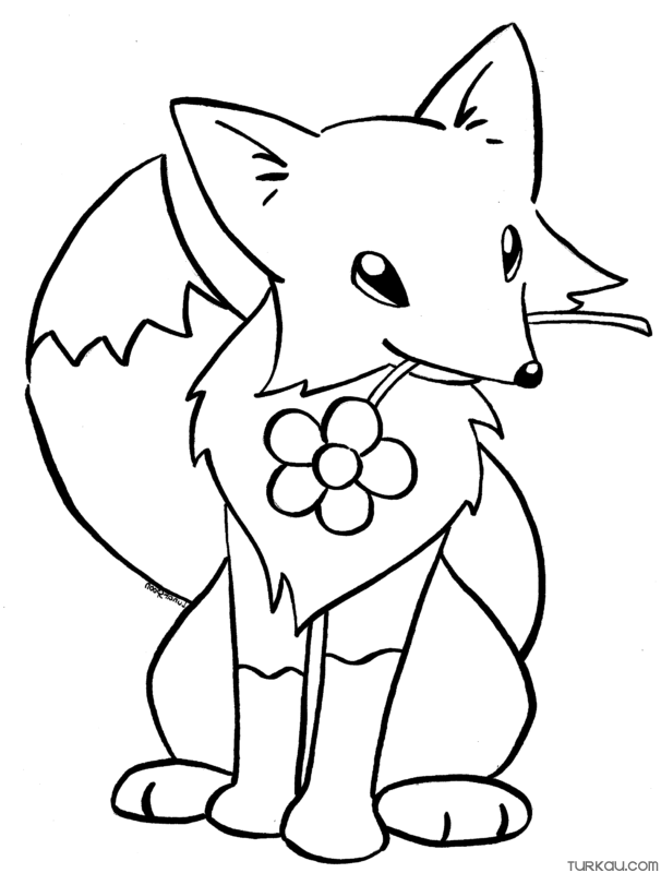 Beautiful Fox Coloring Page » Turkau