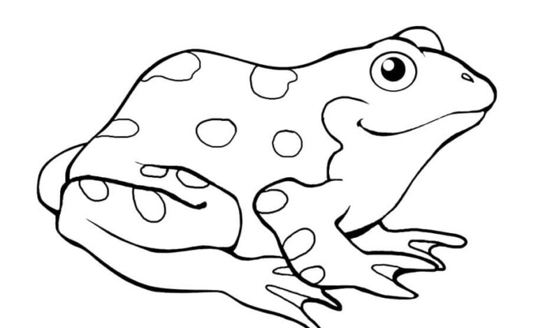 Frog Coloring Page