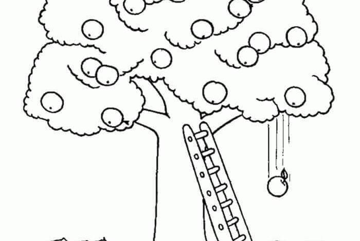 Fruit Tree Ladder Coloring Page