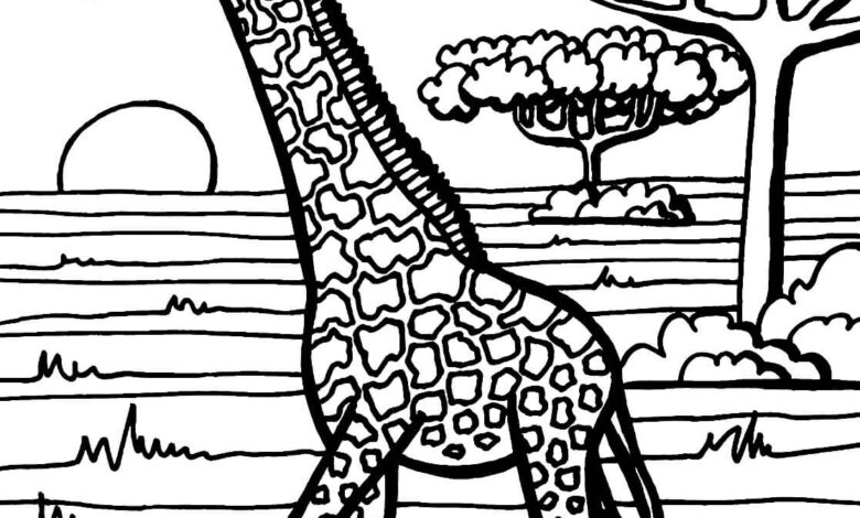 Giraffe Forest Tree Sun Coloring Page