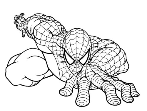 Hero Spiderman Coloring Pages 1 Hero Spiderman Coloring Pages