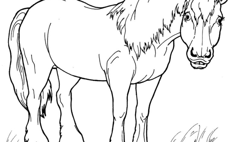 Horse Coloring Page