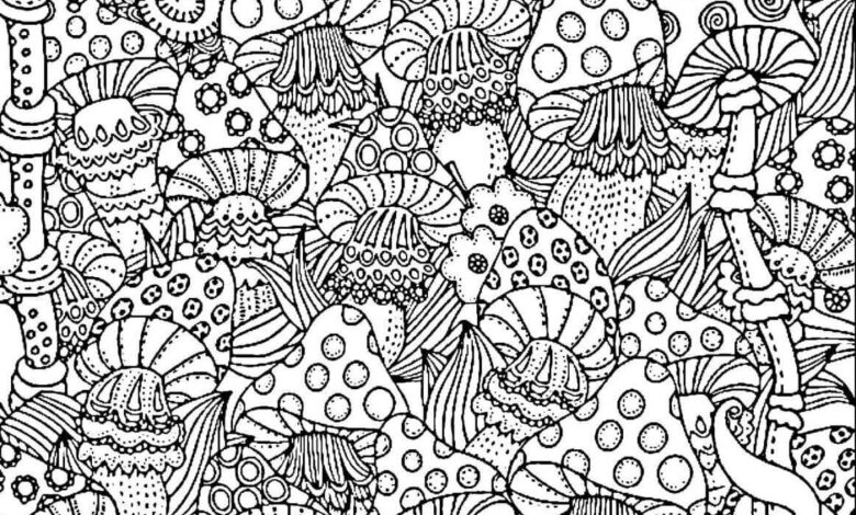 Interactive Coloring Page For Adults