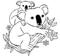 Koala Coloring Page