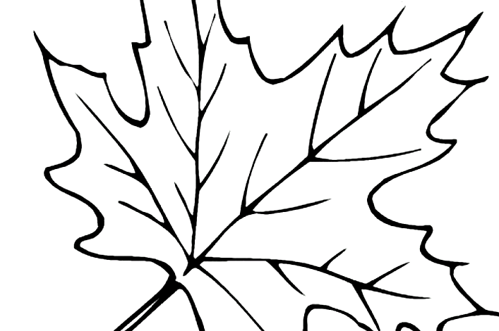 Leaf Coloring Page