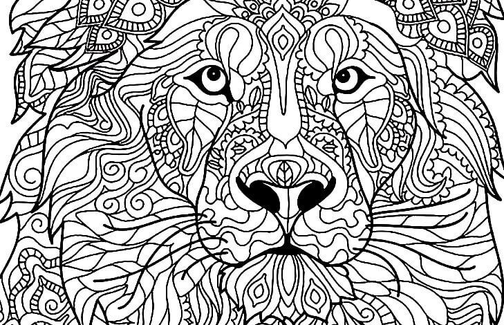 Lion Mandala Animal Coloring Page