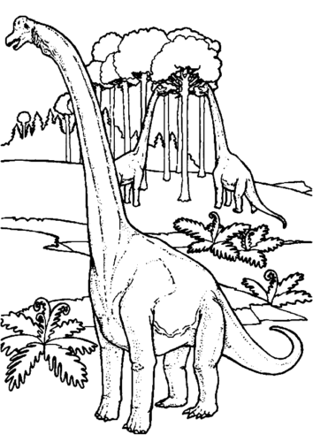 Long Dinosaurs Coloring Page