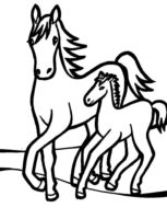 Mother and Baby Horse Coloring Page