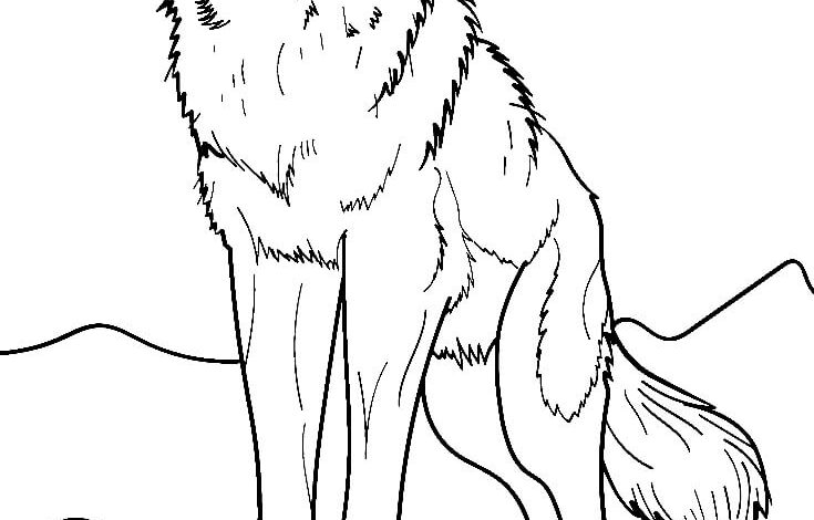 Mountain Wolf Coloring Page